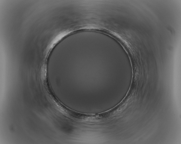 X0000115101367200911101536
