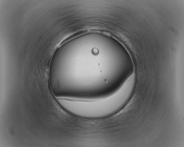 X0000115101369200911101536