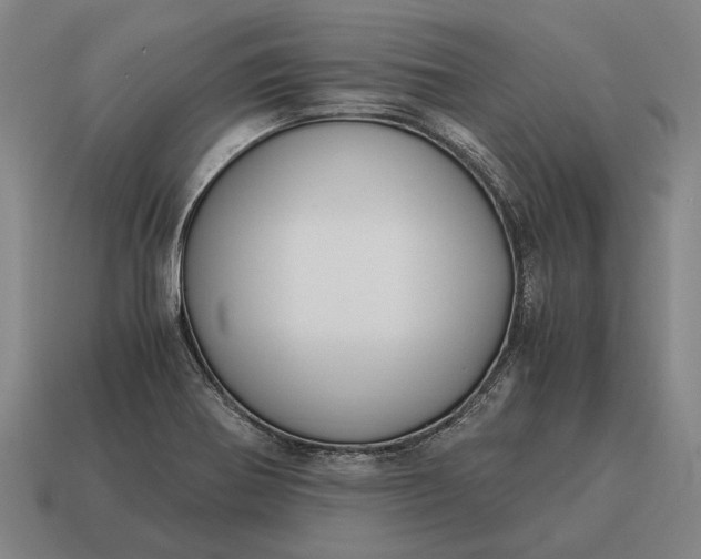 X0000115101370200911101536
