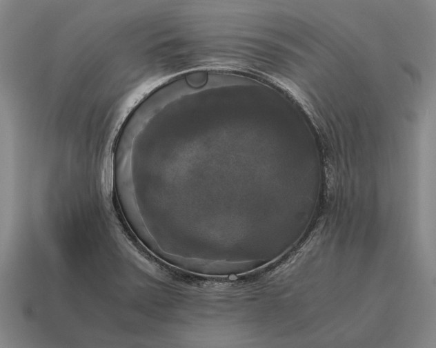 X0000115101371200911101536