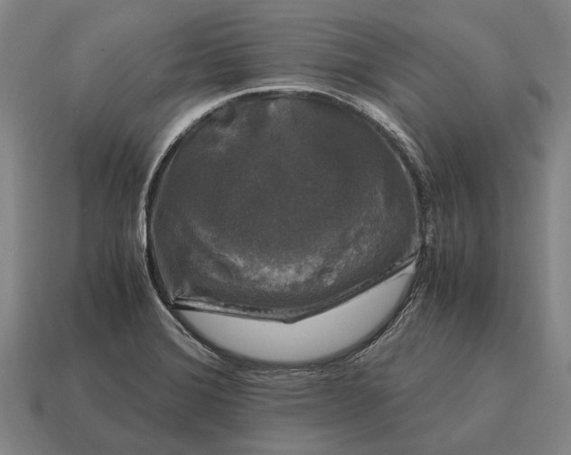 X0000115101372200911101536