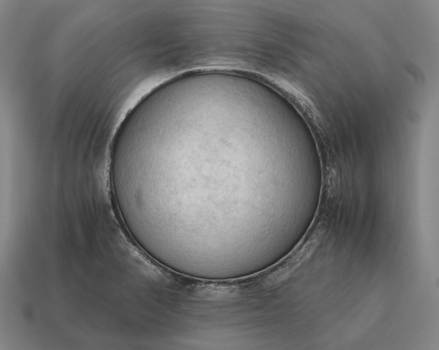 X0000115101374200911101536