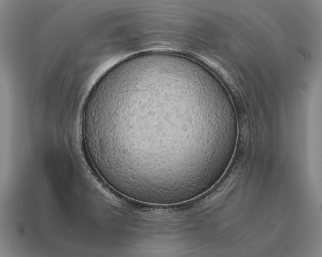 X0000115101375200911101536