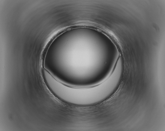 X0000115101376200911101536