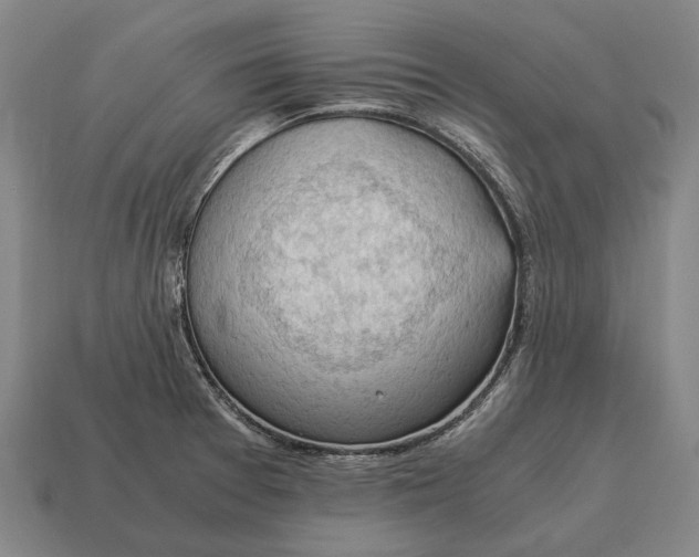 X0000115101377200911101536