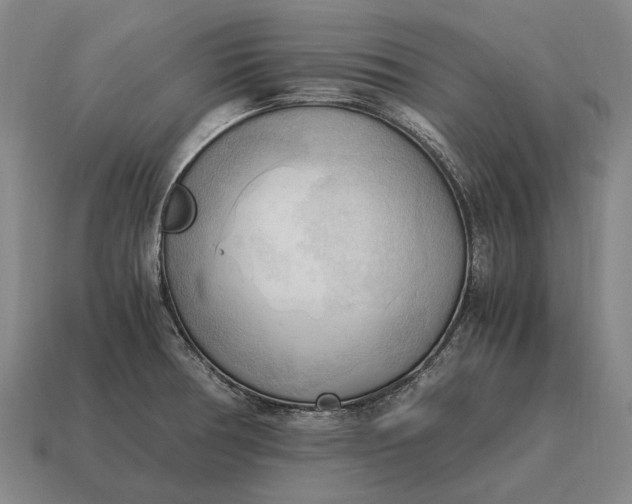 X0000115101378200911101536