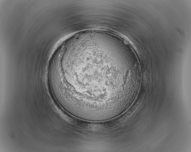 X0000115101379200911101536
