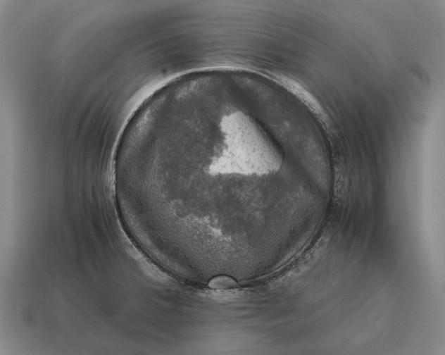 X0000115101380200911101536