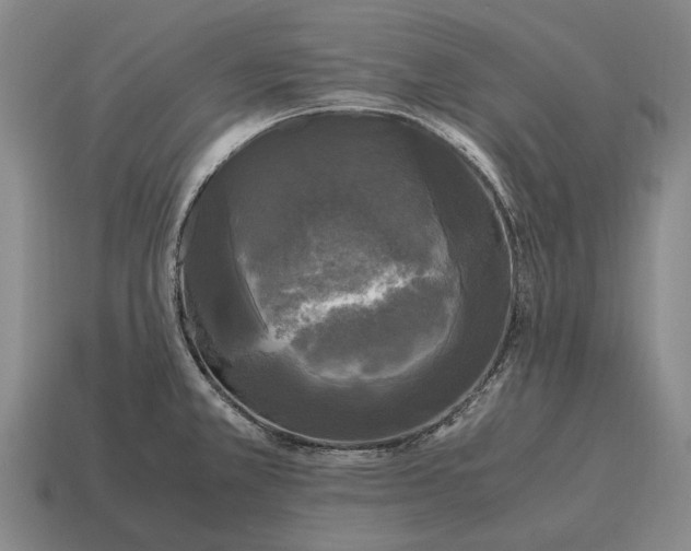 X0000115101381200911101536