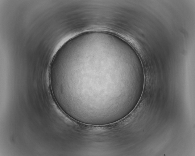 X0000115101382200911101536