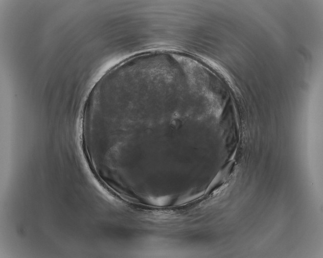 X0000115101383200911101536