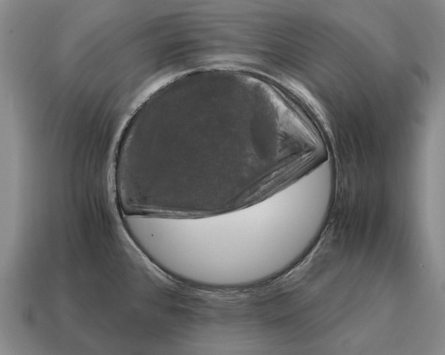 X0000115101384200911101536