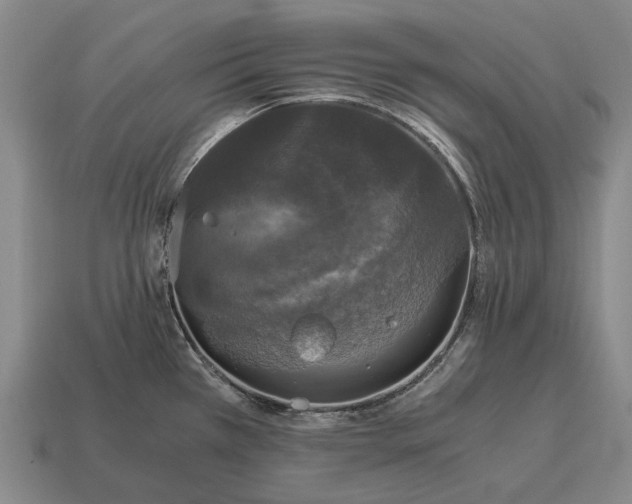 X0000115101385200911101536