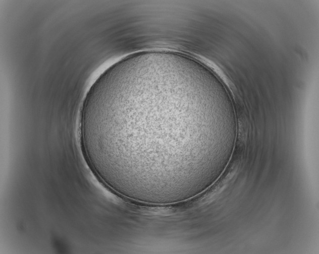 X0000115101387200911101536