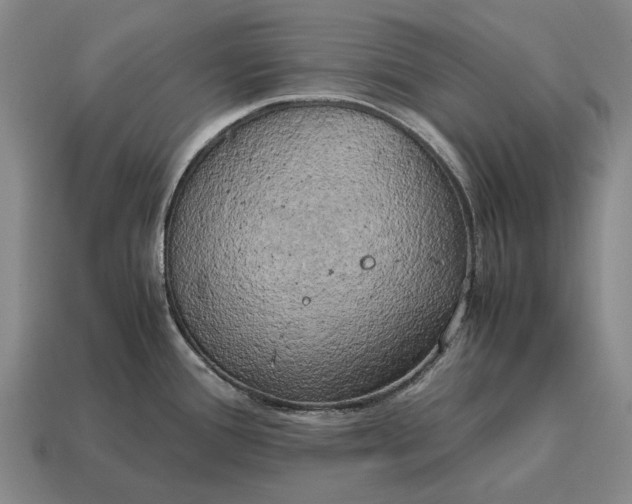 X0000115101388200911101536
