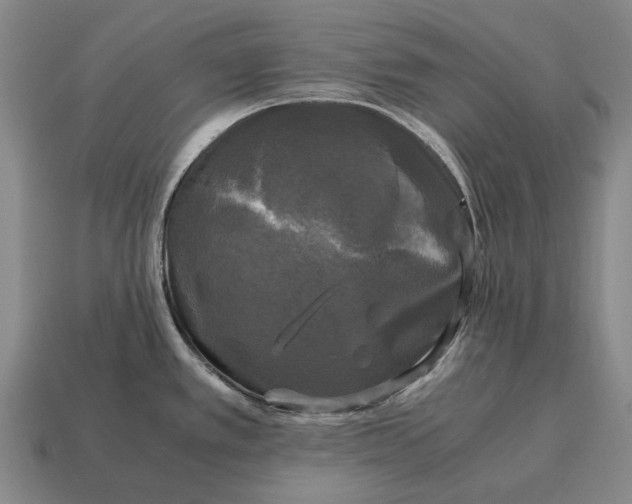 X0000115101389200911101536