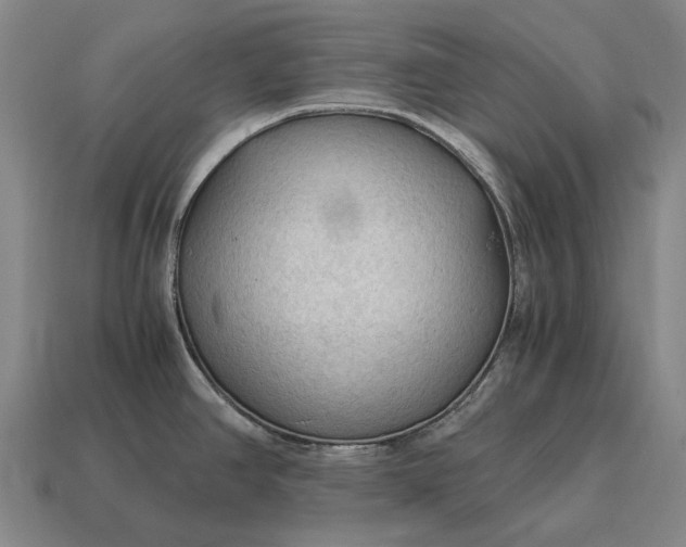 X0000115101390200911101536