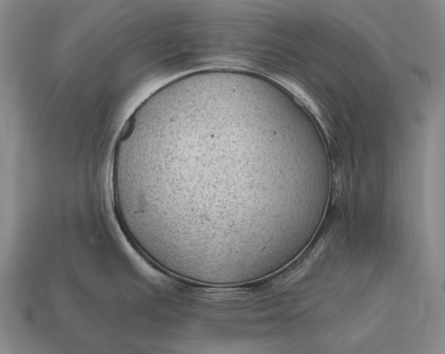 X0000115101391200911101536