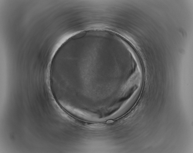 X0000115101392200911101536