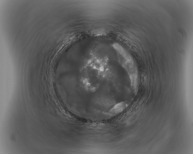 X0000115101393200911101535