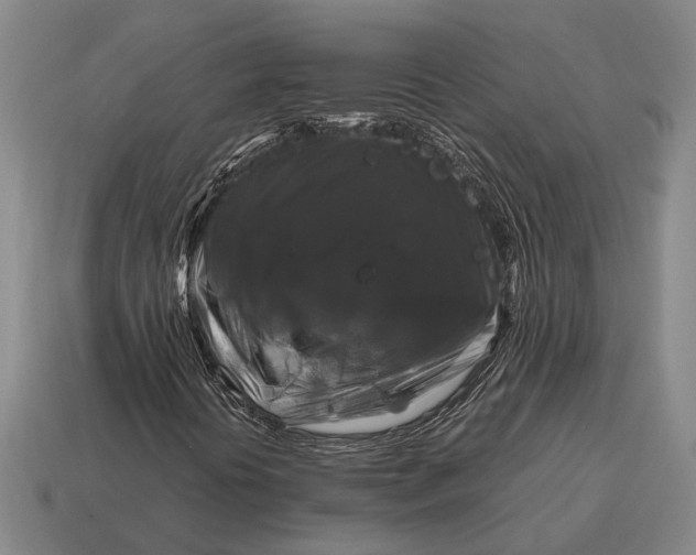 X0000115101394200911101535