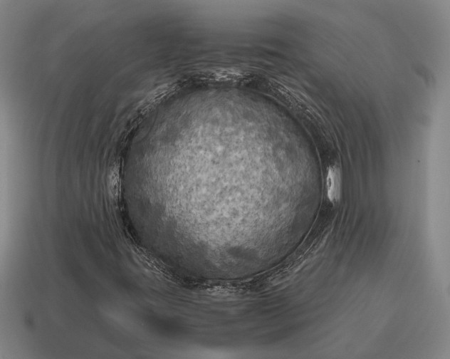X0000115101395200911101535
