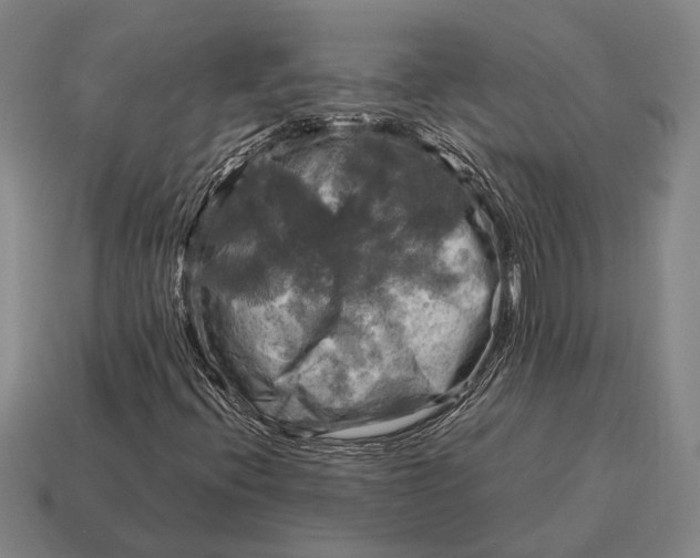 X0000115101396200911101535