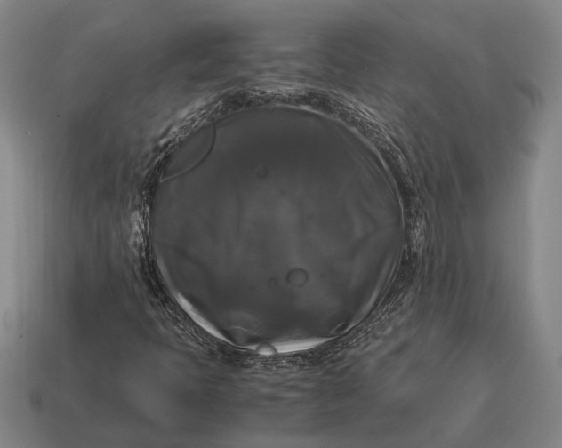 X0000115101397200911101535