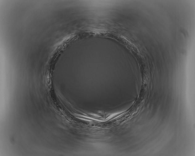 X0000115101398200911101535