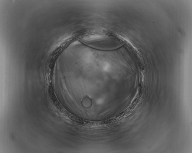 X0000115101399200911101535