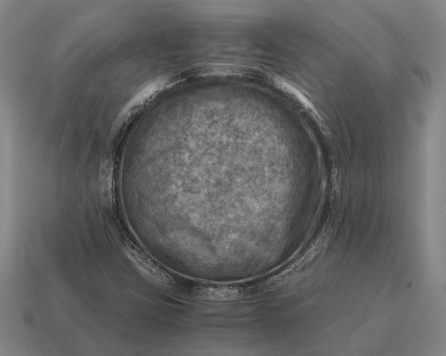 X0000115101403200911101535