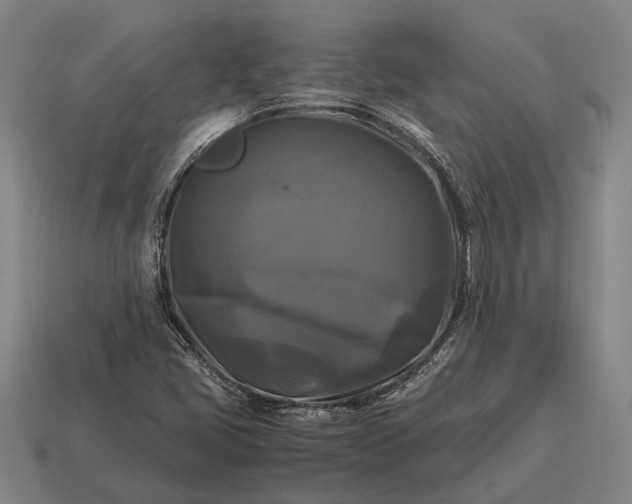 X0000115101405200911101535