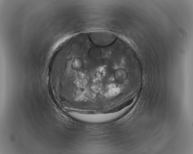 X0000115101406200911101535