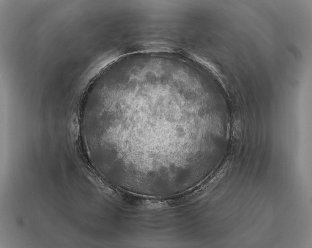 X0000115101407200911101535