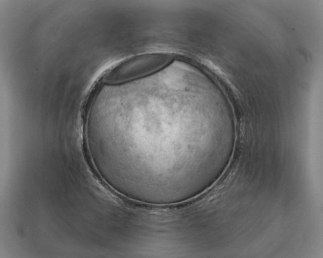 X0000115101408200911101535