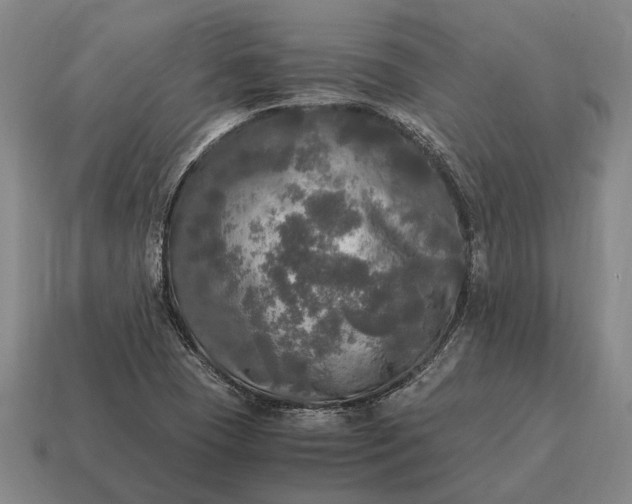 X0000115101409200911101535