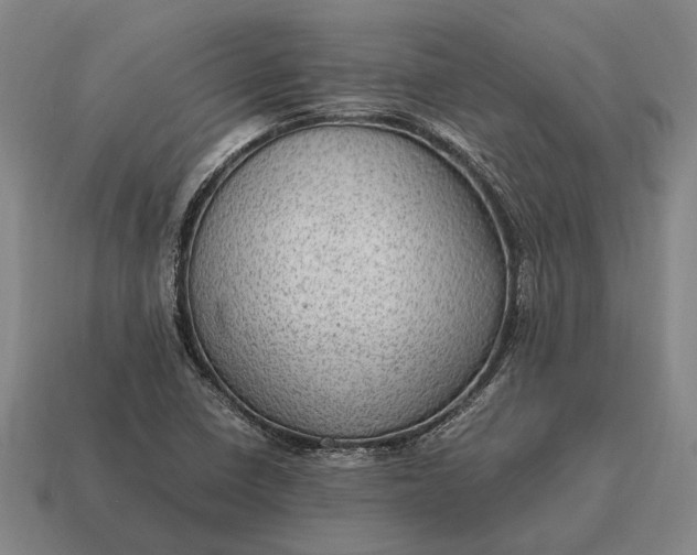 X0000115101410200911101535