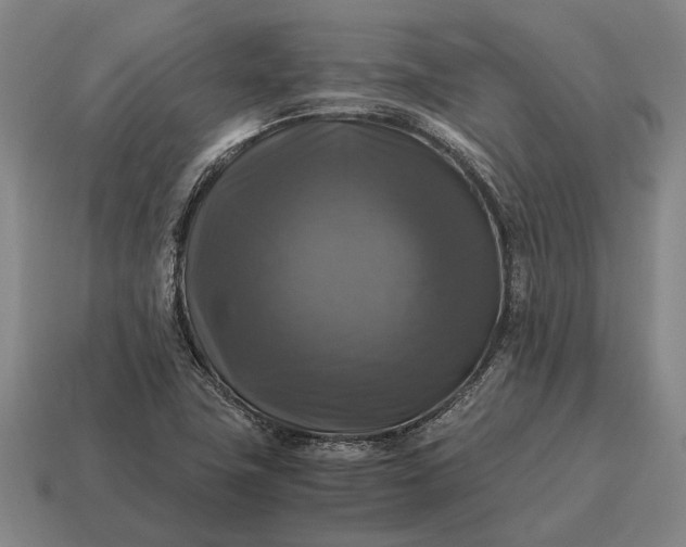 X0000115101411200911101535