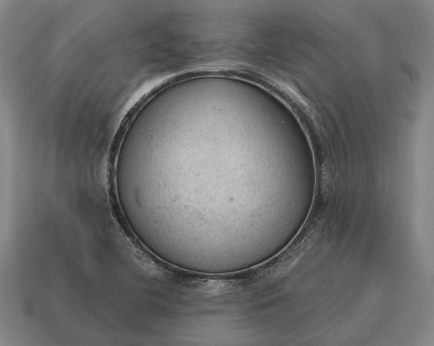 X0000115101412200911101535