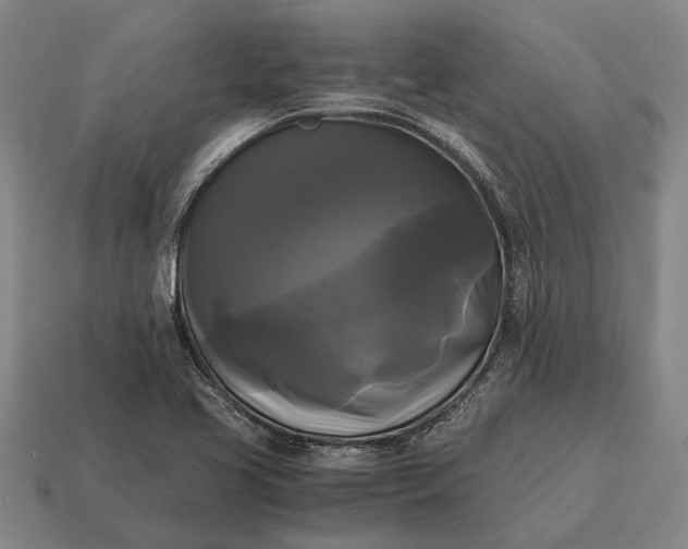 X0000115101413200911101535