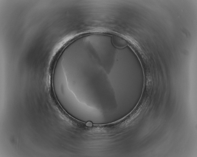 X0000115101414200911101535