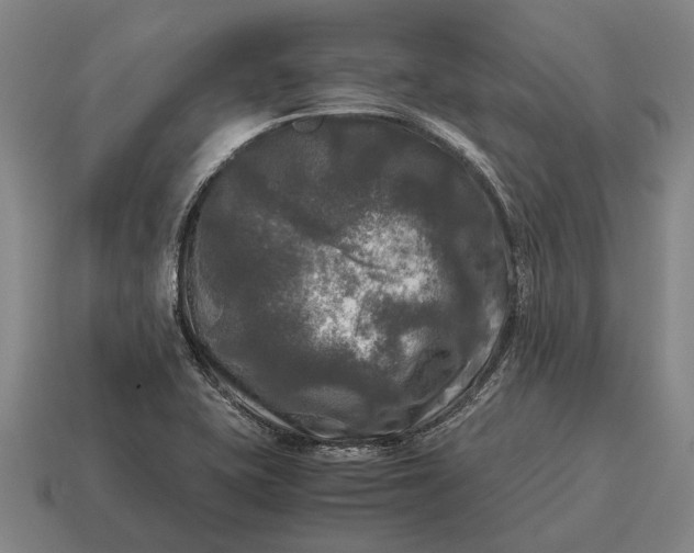 X0000115101415200911101535