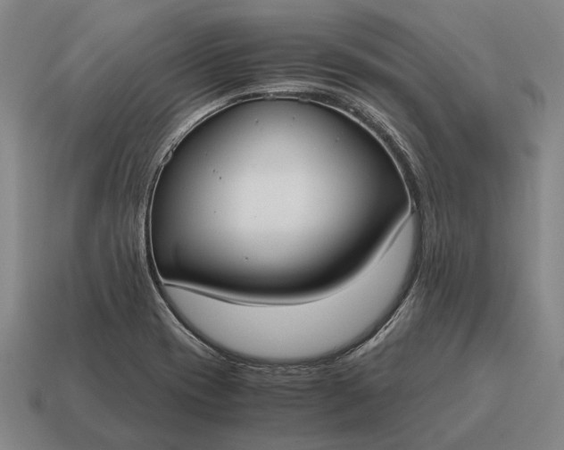 X0000115101417200911101535
