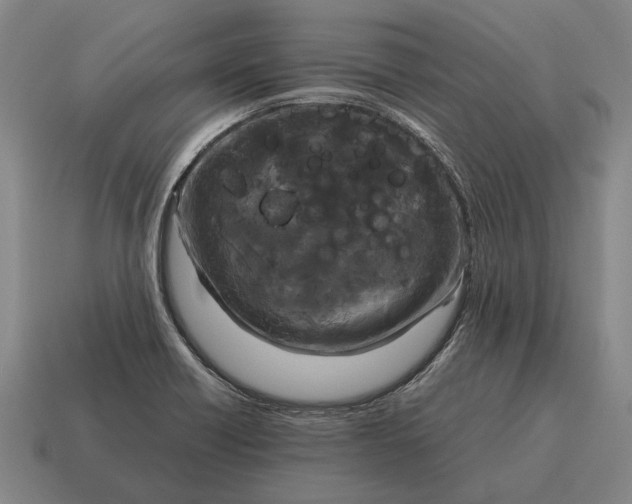 X0000115101418200911101535