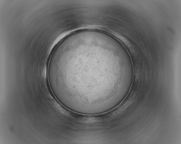 X0000115101420200911101535