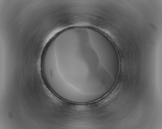 X0000115101422200911101535