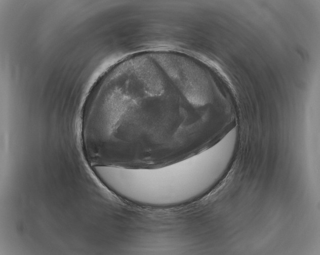 X0000115101424200911101535