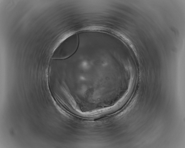 X0000115101425200911101535