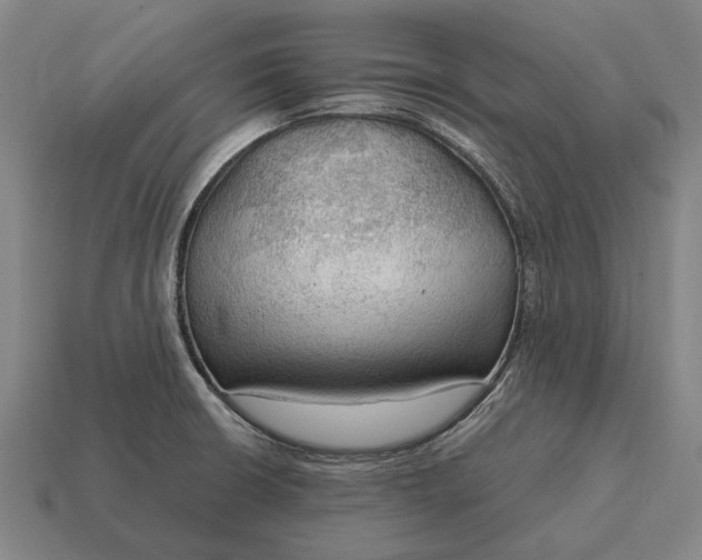 X0000115101426200911101535
