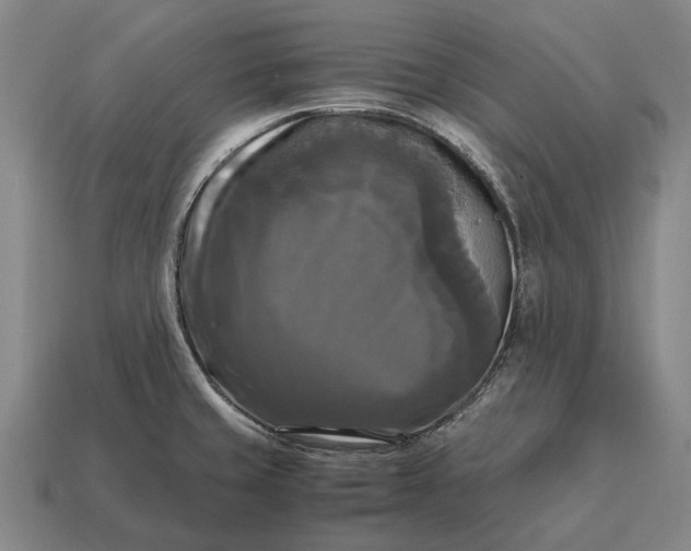 X0000115101429200911101535